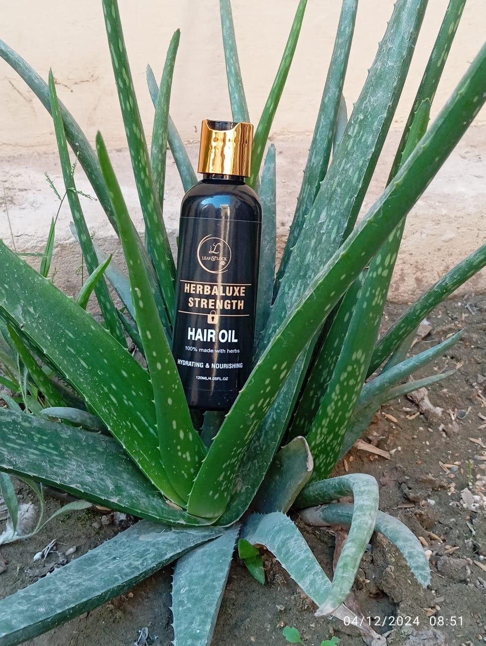 HERBALUXE STRENGTH HAIR OIL